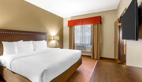 Suite, 1 King Bed, Non Smoking (Sofa)