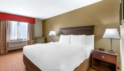 Standard Room, 1 King Bed, Non Smoking