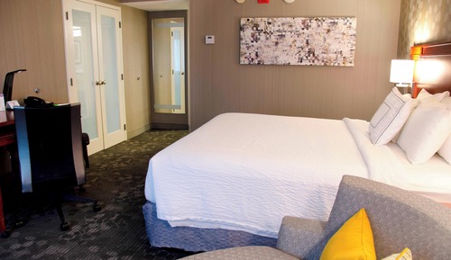 Room, 1 King Bed with Sofa bed, Non Smoking (Mobility Accessible, Roll-in Shower)