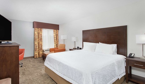 Room, 1 King Bed, Refrigerator & Microwave (Shower)