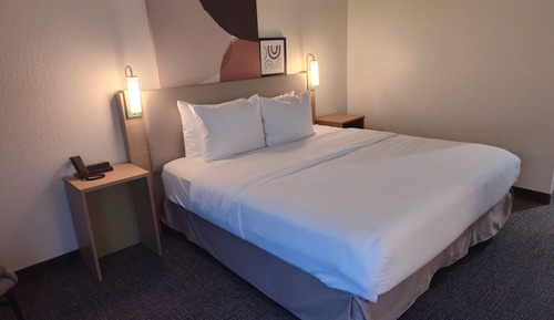 Room, 1 King Bed