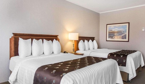 Room, 2 Queen Beds