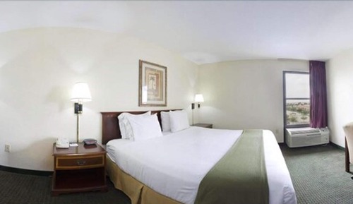Suite, 1 King Bed with Sofa bed