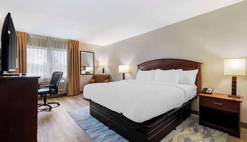 Standard Room, 1 King Bed, Non Smoking