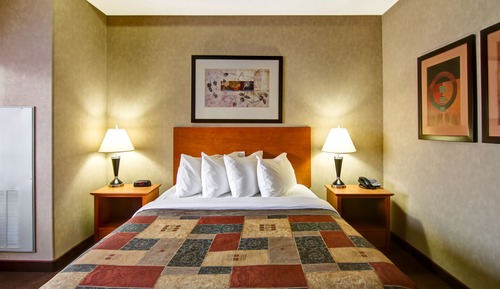 Executive Suite, 1 Queen Bed