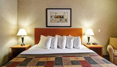 Executive Suite, 1 King Bed