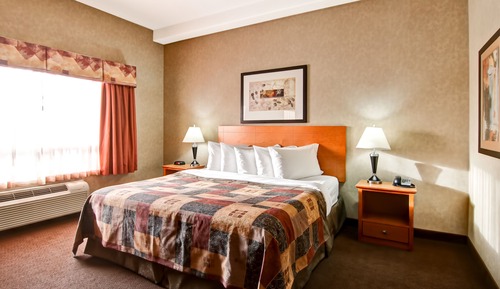 Room, 1 King Bed