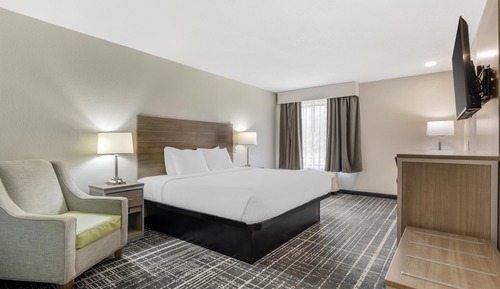 Standard Room, 1 King Bed, Accessible, Non Smoking (Walk-in Shower)