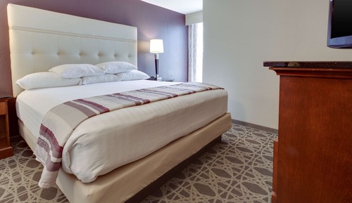 Suite, 1 King Bed with Sofa bed, Refrigerator & Microwave (2 Rooms)