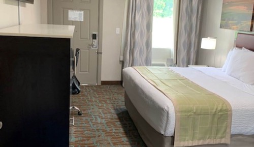 Room, 1 King Bed, Accessible, Non Smoking (Roll-In Shower)