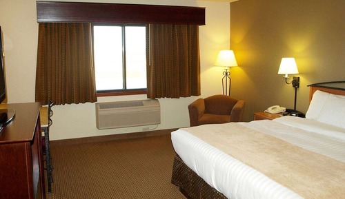 Room, 1 King Bed, Roll-in Shower