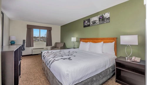 Room, 1 Queen Bed, Accessible, Non Smoking