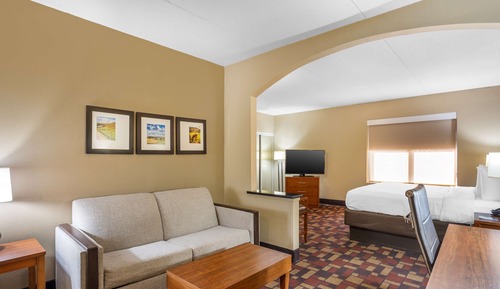 Suite, 1 King Bed, Non Smoking, Jetted Tub (with Single Sofabed)