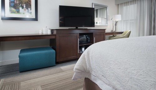 Room, 1 King Bed, Non Smoking (Shower Only)