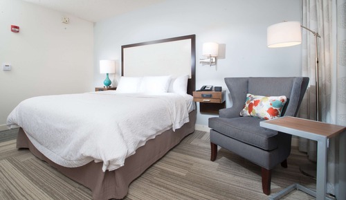 Room, 1 King Bed, Accessible, Non Smoking (Roll-in Shower)