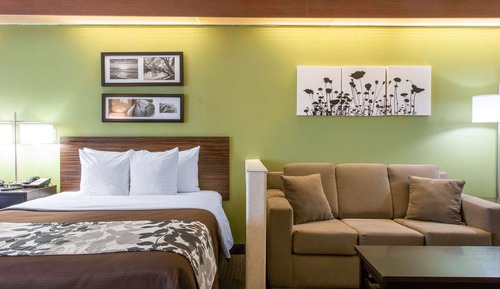 Suite, Multiple Beds, Non Smoking (2 Queen, 2 Person Sofa Bed)