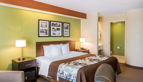 Standard Room, 1 King Bed, Non Smoking