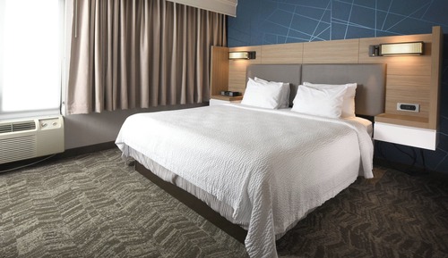 Suite, 1 King Bed with Sofa bed