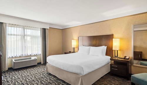 Standard Room, 1 King Bed, Non Smoking, Refrigerator