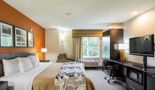 Room, 1 King Bed