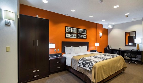Room, 1 King Bed, Accessible, Non Smoking
