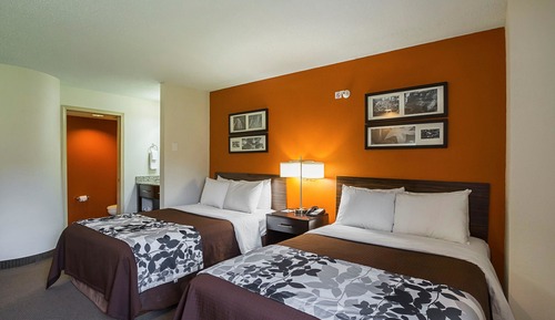 Standard Double Room, 2 Double Beds, Non Smoking