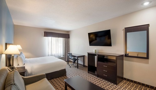Standard Room, 1 King Bed, Non Smoking, Refrigerator & Microwave (with Sofabed)