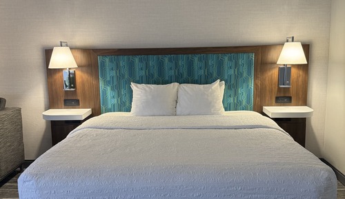 Room, 1 King Bed, Accessible, Non Smoking (Mobility & Hearing, Roll-in Shower)