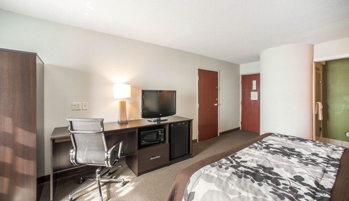 Standard Room, 1 King Bed, Accessible, Non Smoking