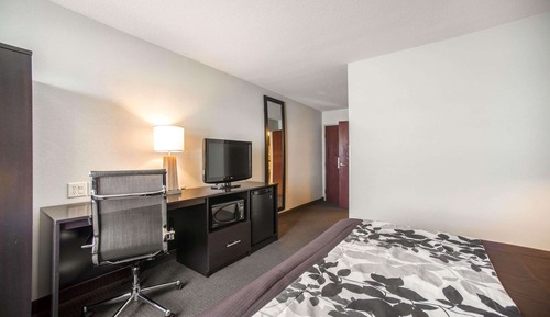 Room, 1 Queen Bed, Accessible, Non Smoking