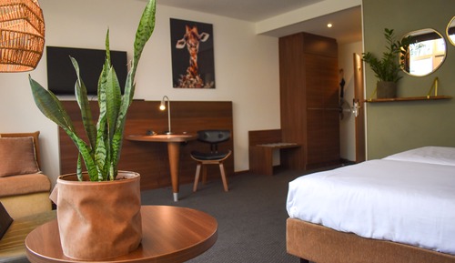 Luxury double room