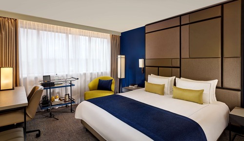 Executive Room, 1 King Bed