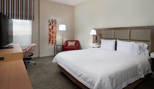 Suite, 1 King Bed, Accessible (Stand Shower)