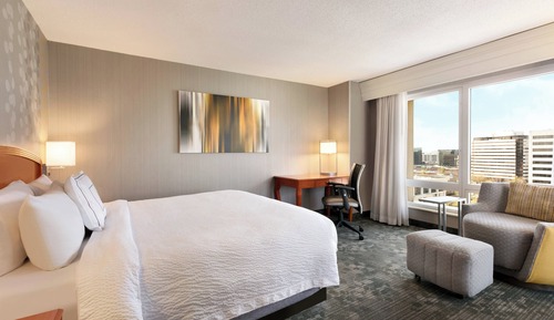 Room, 1 King Bed, City View