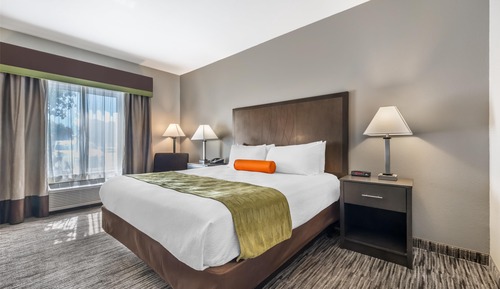 Standard Room, 1 King Bed, Accessible, Non Smoking