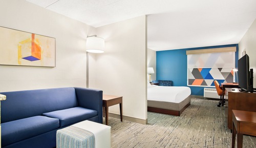 Suite, 1 King Bed with Sofa bed