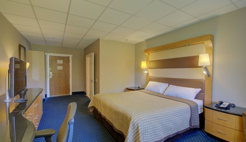Room, 1 King Bed, Smoking