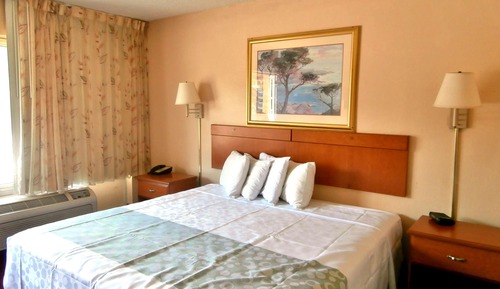 Room, 1 King Bed, Non Smoking