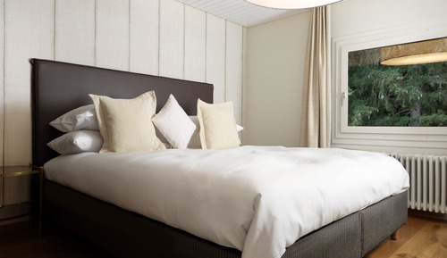 Standard Double Room (Forrest view, located at the rear of the hotel)