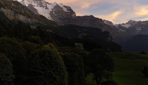 Junior Suite, Balcony, Mountain View (Jungfrau)