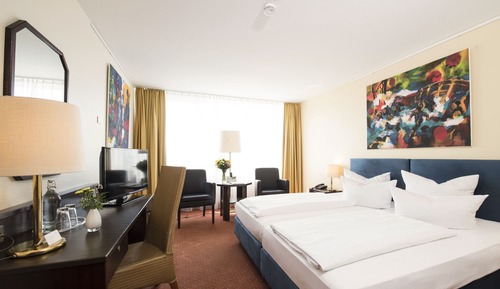 Standard Double Room (partly Basel or mountain view)