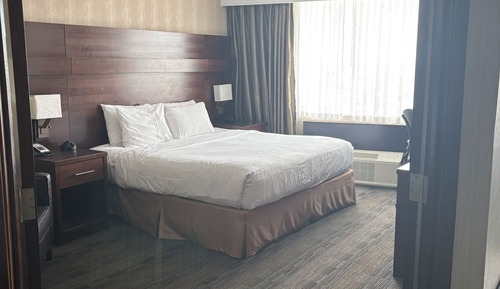Single Room, 1 King Bed, Non Smoking, City View