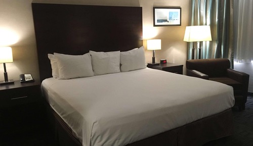 Room, 1 King Bed, Non Smoking