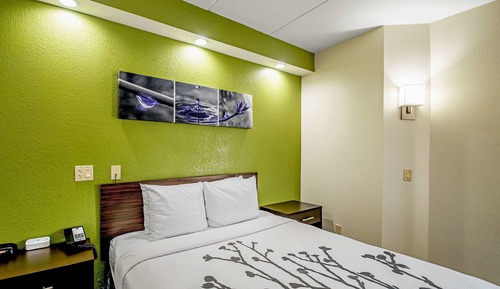 Standard Room, 1 Queen Bed, Accessible, Non Smoking