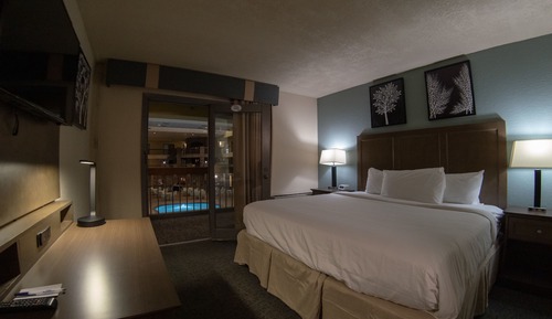 Room, 1 King Bed, Non Smoking, Pool View