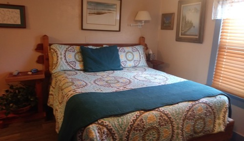 Room, 1 King Bed (Service Animals Friendly)
