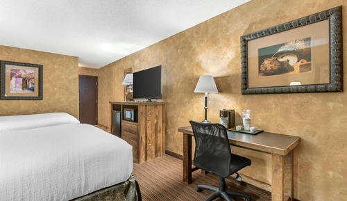 Standard Room, Multiple Beds, Non Smoking (with Sofabed)