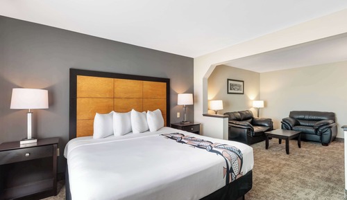 Suite, 1 King Bed, Non Smoking, Refrigerator & Microwave