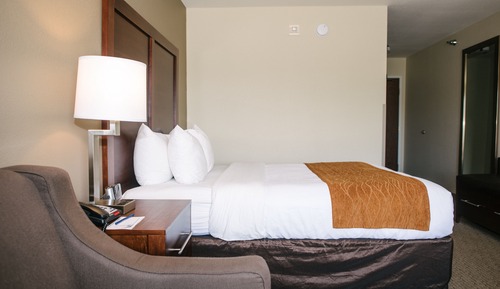 Standard Room, 1 King Bed, Non Smoking