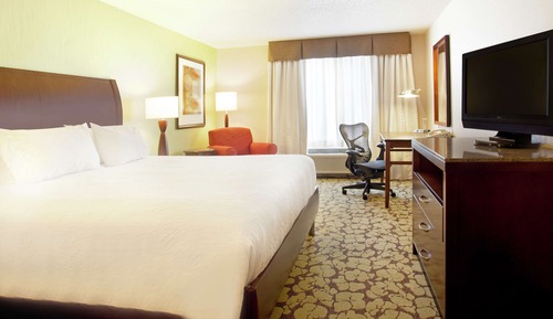 Room, 1 King Bed, Accessible, Bathtub